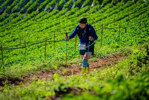 BIB: 
                            <button type="button" onclick="openModal(19162012)" class="btn btn-primary btn-sm float-right btn-popup" data-toggle="modal" data-target=".modal-high-quality">
                        <i class="fas fa-shopping-cart"></i> Add to Cart
                    </button>
                                            <button type="button" onclick="isThisMe(19162012, true)" class="btn btn-success btn-sm float-right btn-popup btn-isme hidden" data-toggle="tooltip" data-placement="bottom" title="นี่คือรูปของคุณใช่ไหม คลิกที่นี่เพื่อเอาเข้าอัลบั้ม">
                        <i class="fas fa-plus"></i> Add to album
                    </button>
                    <button type="button" onclick="isThisMe(19162012, false)" class="btn btn-warning btn-sm float-right btn-popup btn-isnotme hidden">
                        <i class="fas fa-ban"></i> Remove from album
                    </button>